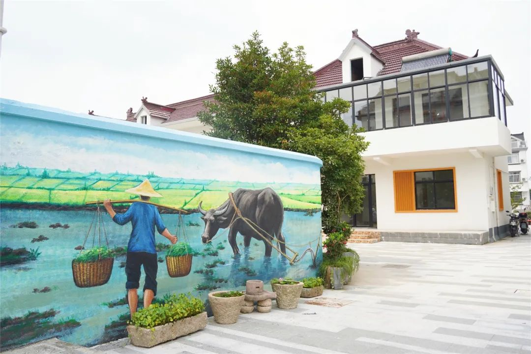 新时代文明实践丨赵巷乡村里的墙绘美景邀您来打卡