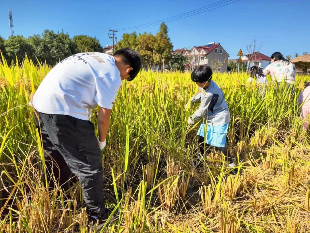 1025_131935_206.jpg 1025_131935_206.jpg