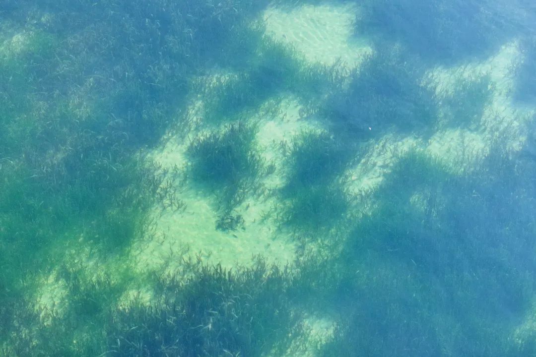 0313_144046_817.jpg