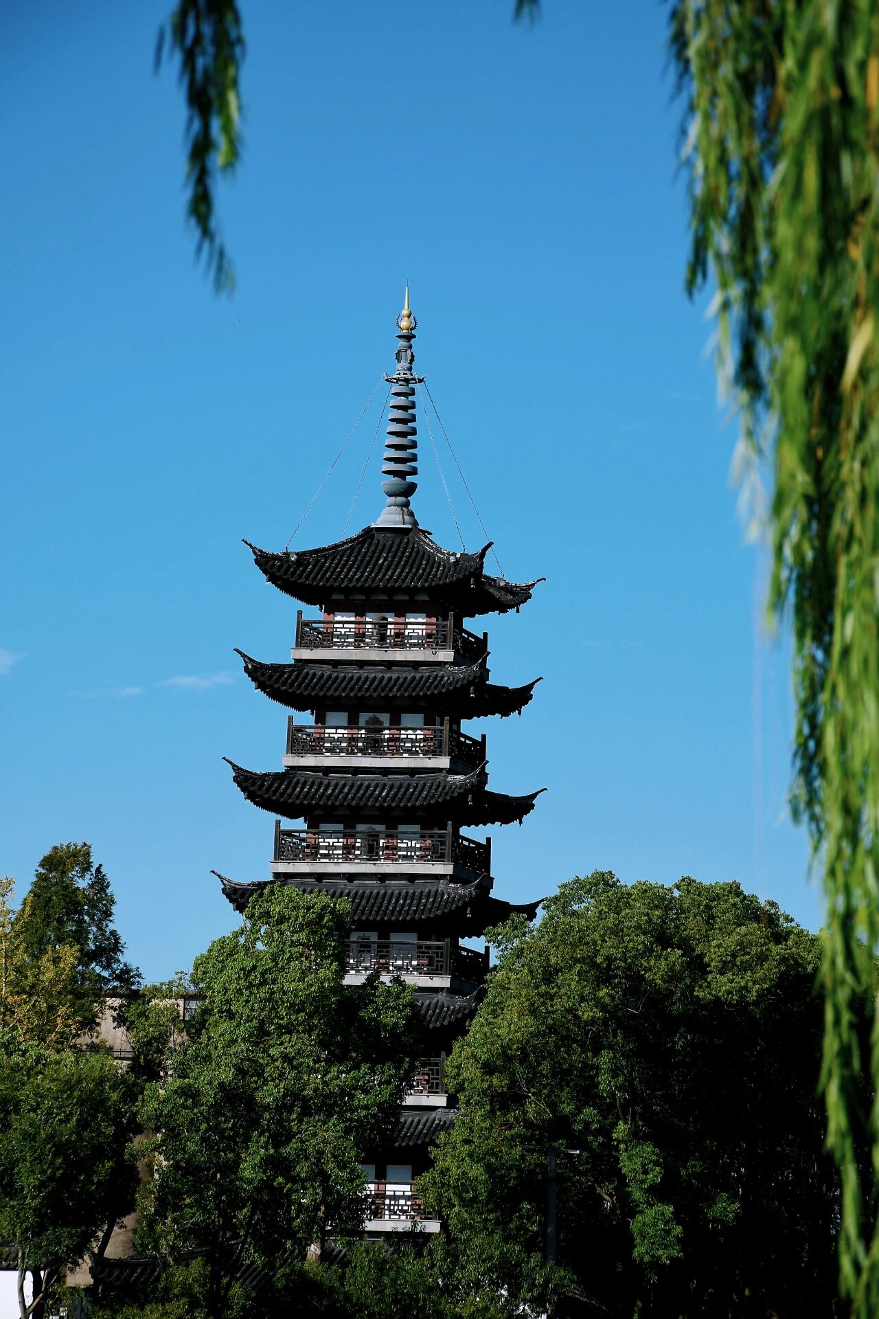 1014_144213_201.jpg 1014_144213_201.jpg