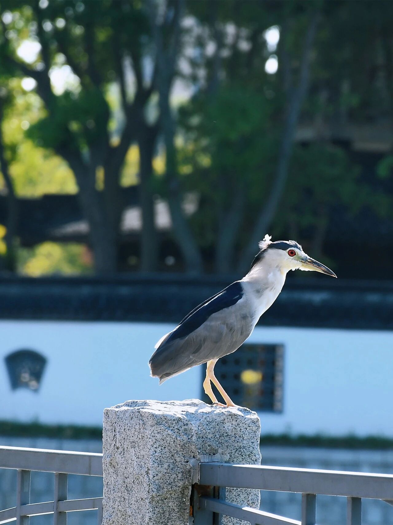 1014_144213_299.jpg 1014_144213_299.jpg