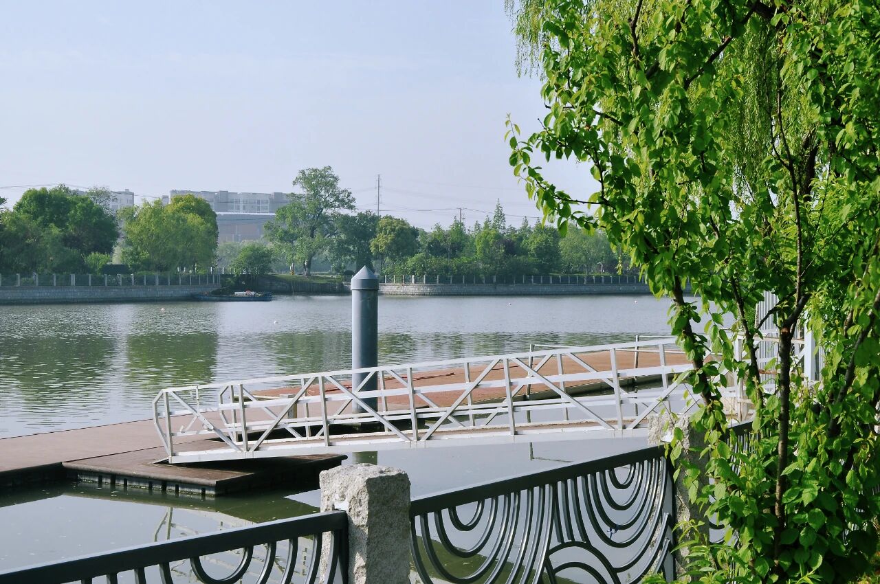 1014_144213_469.jpg 1014_144213_469.jpg