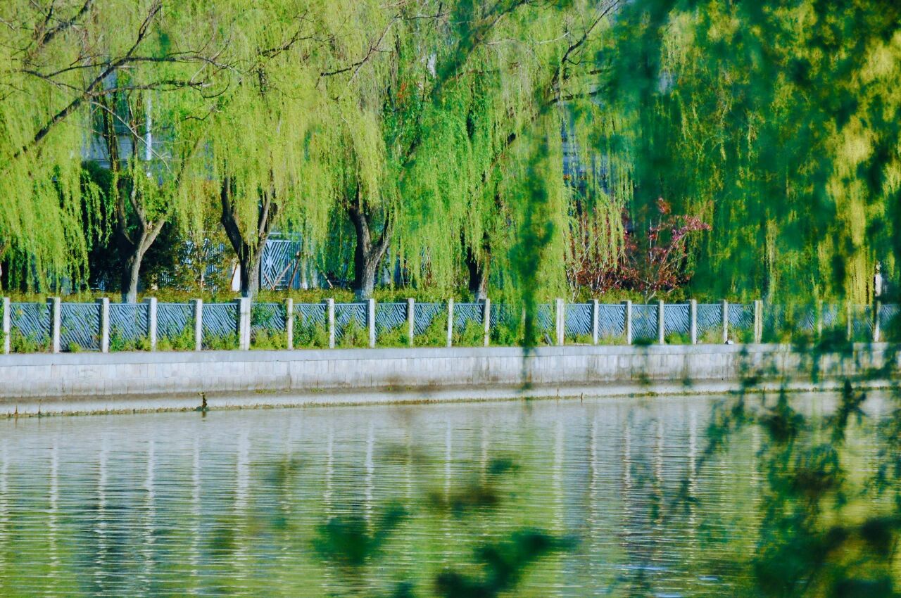 1014_144214_117.jpg 1014_144214_117.jpg