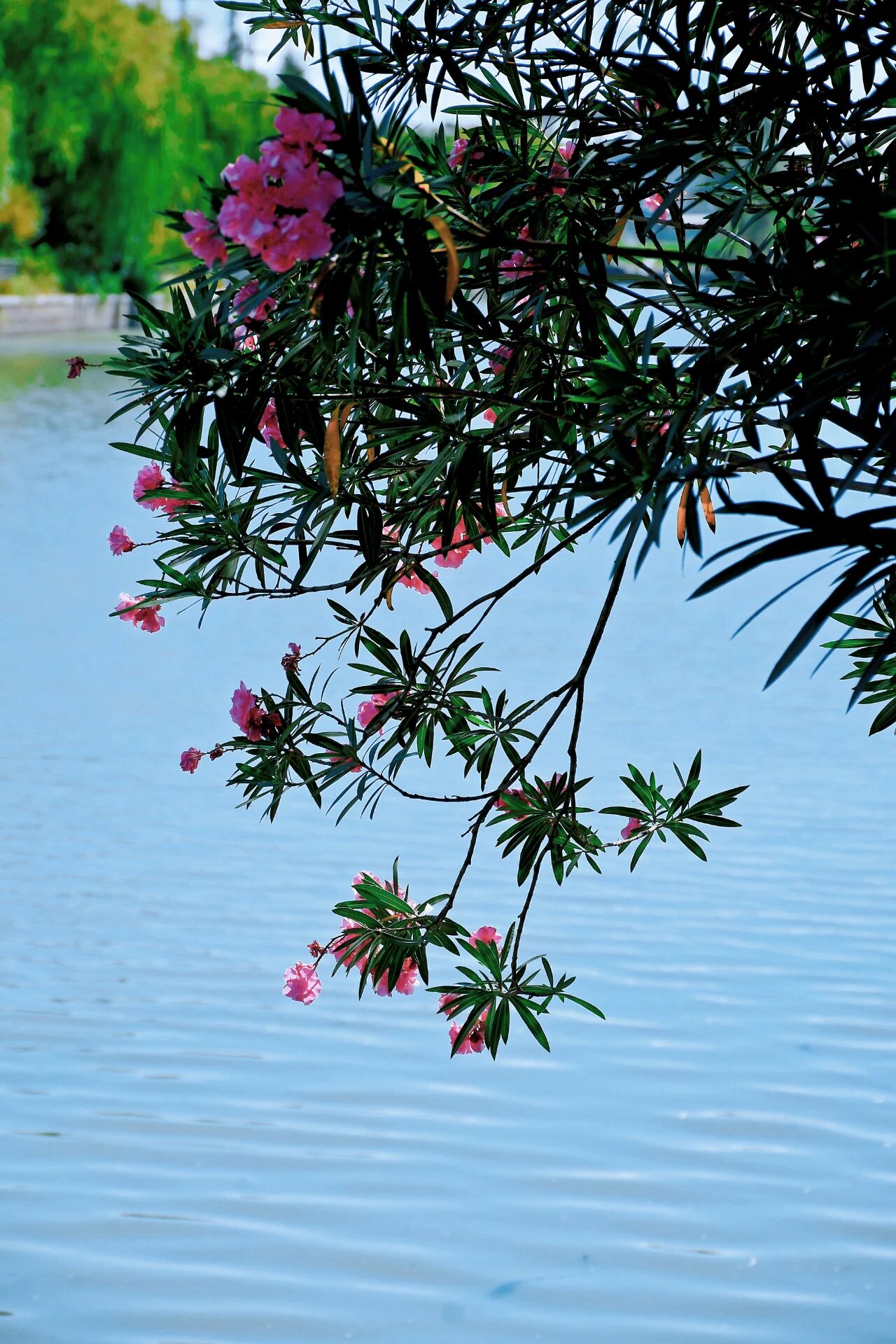 1014_144214_456.jpg 1014_144214_456.jpg