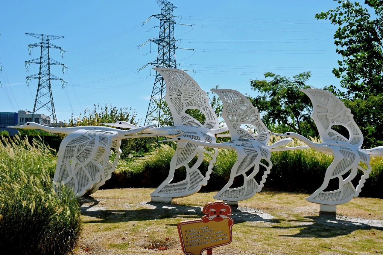 1014_144214_464.jpg 1014_144214_464.jpg