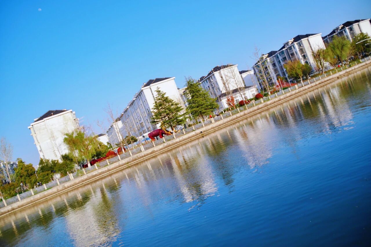 1014_144214_482.jpg 1014_144214_482.jpg