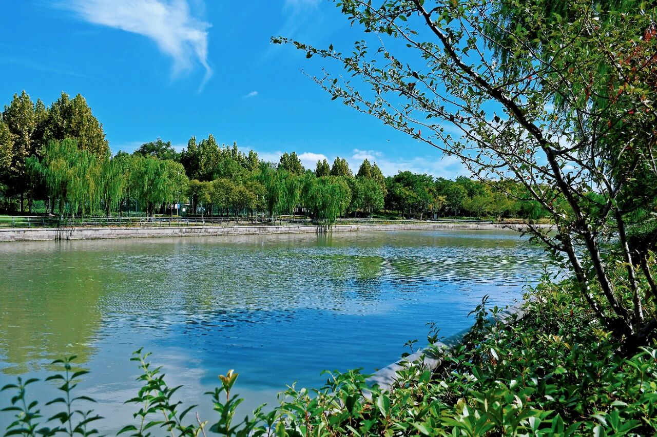 1014_144214_598.jpg 1014_144214_598.jpg