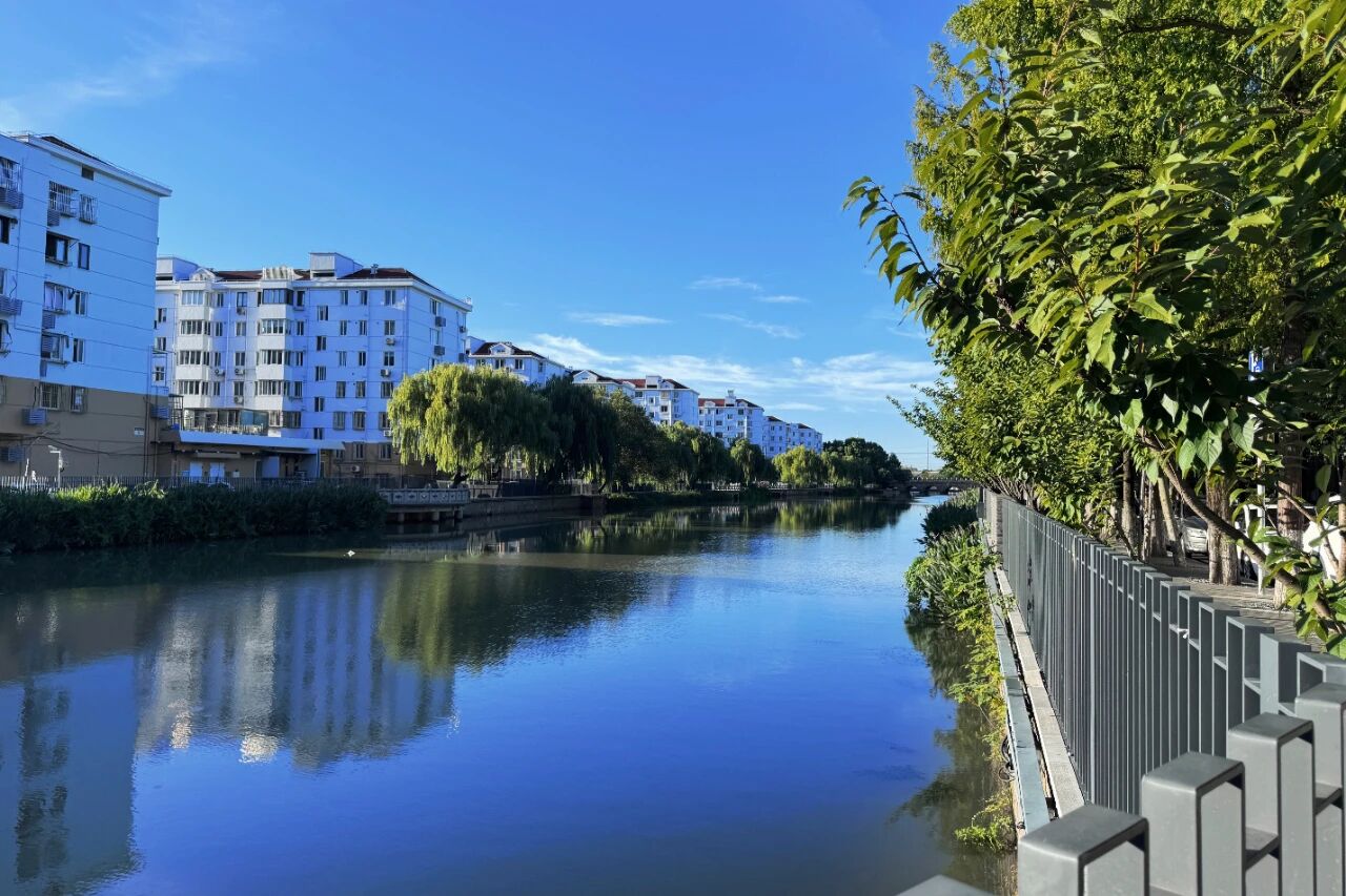 1014_144215_193.jpg 1014_144215_193.jpg