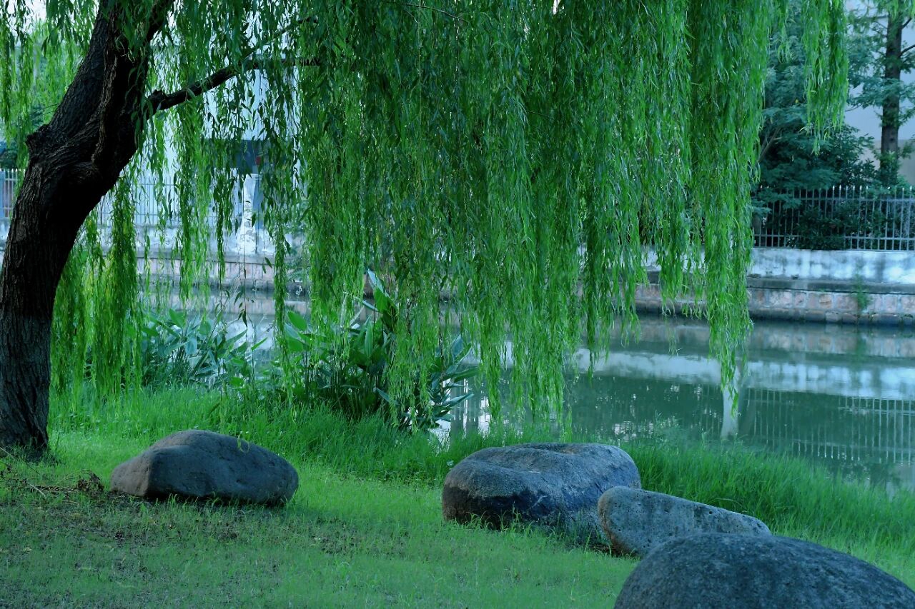 1014_144215_340.jpg 1014_144215_340.jpg