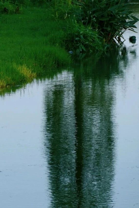 1014_144215_395.jpg 1014_144215_395.jpg