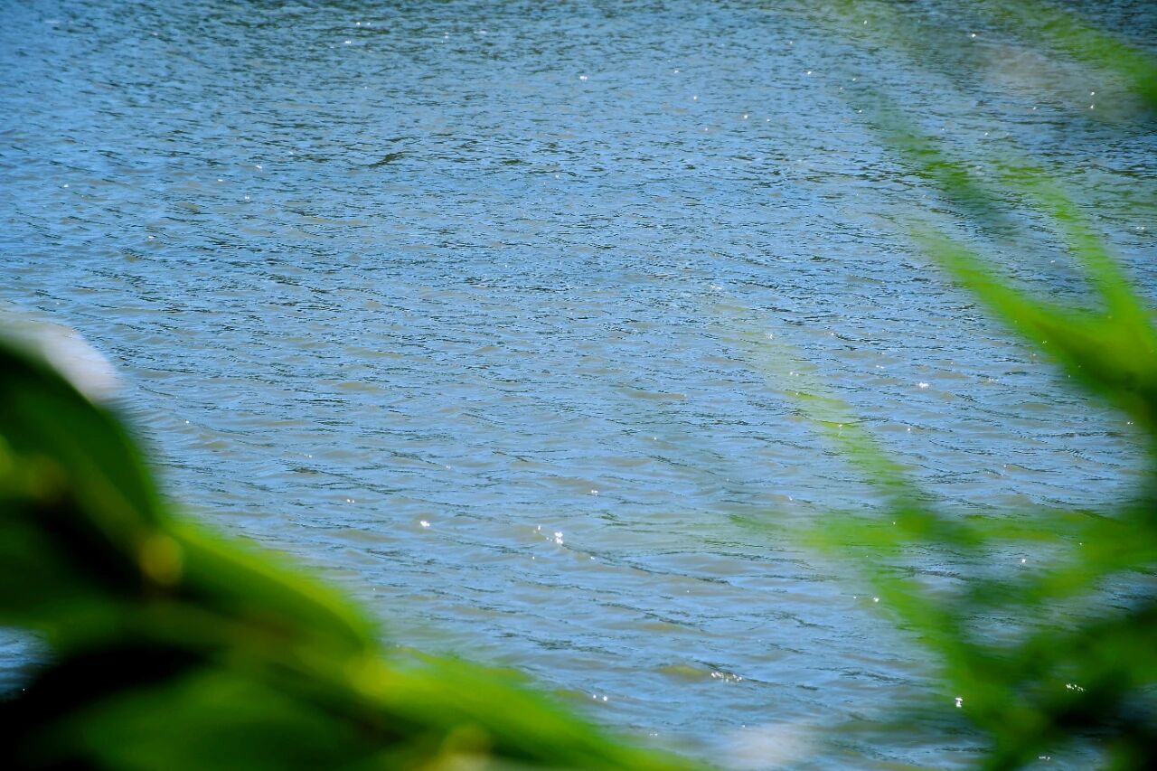 1014_144215_409.jpg 1014_144215_409.jpg