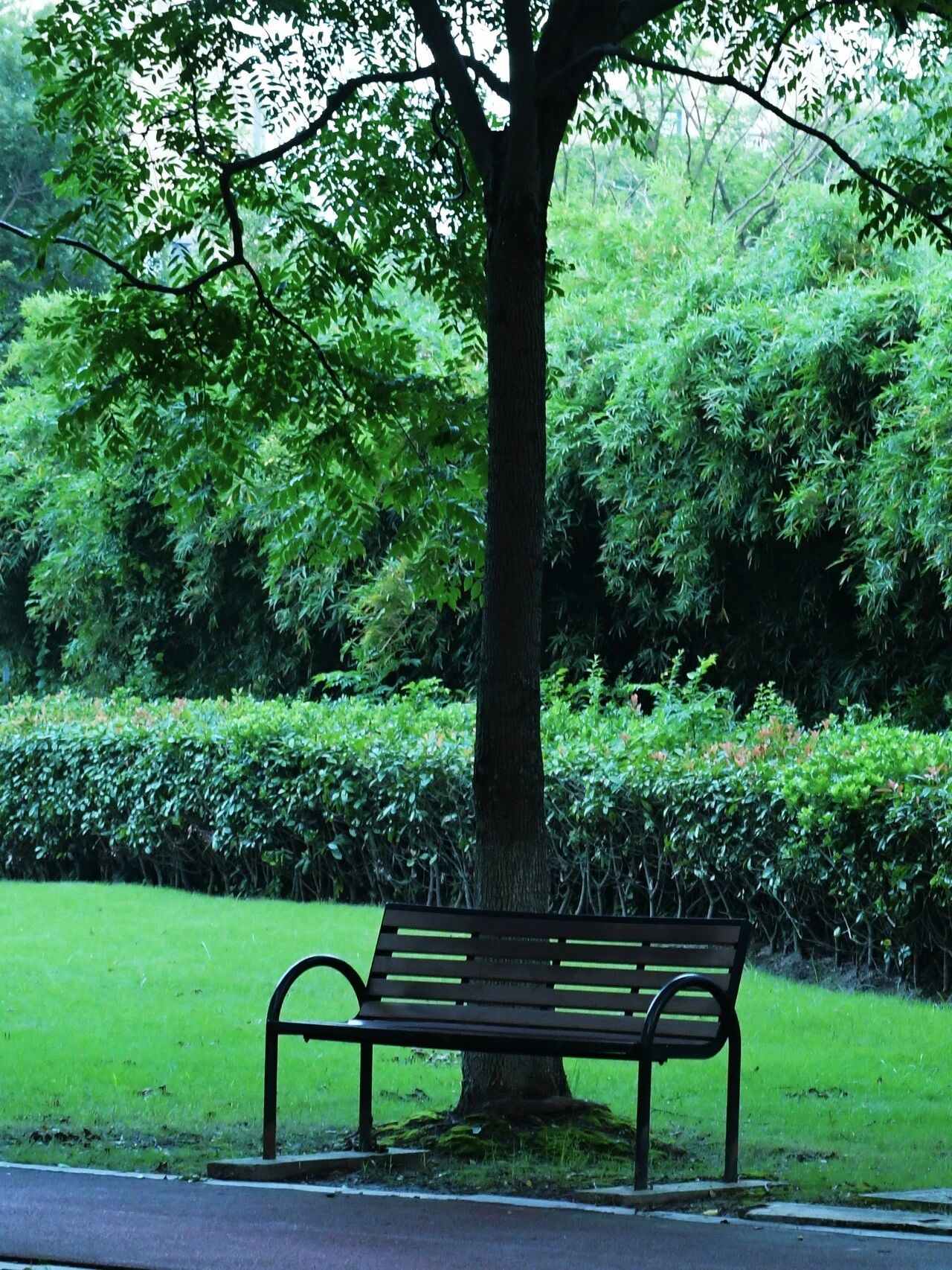 1014_144215_461.jpg 1014_144215_461.jpg