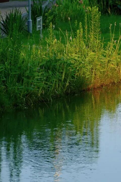 1014_144215_493.jpg 1014_144215_493.jpg