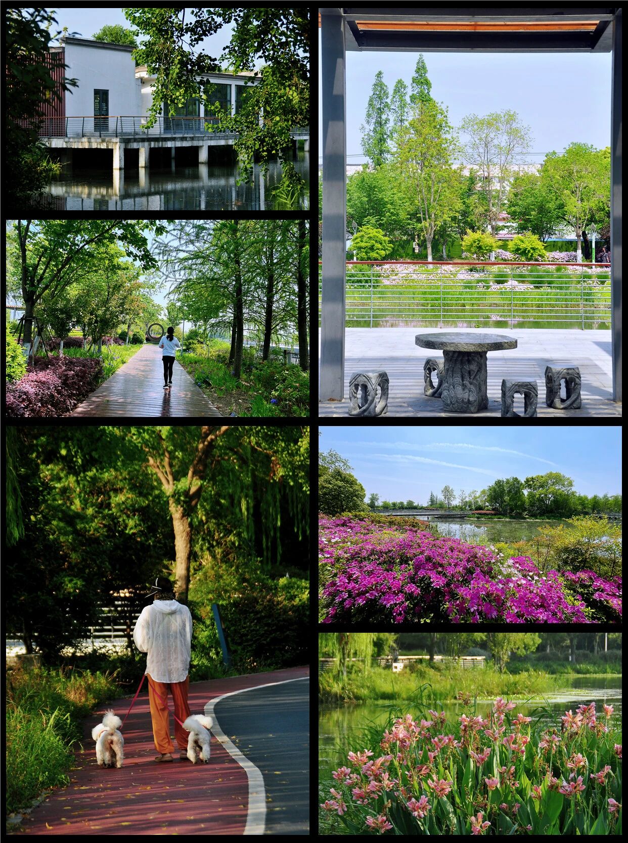 1014_144216_163.jpg 1014_144216_163.jpg