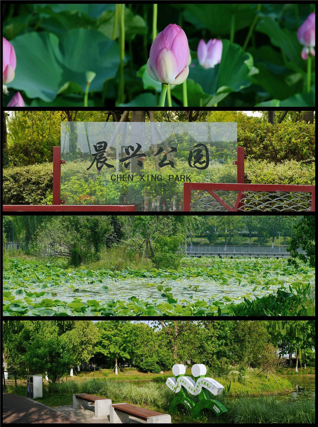 1014_144216_170.jpg 1014_144216_170.jpg