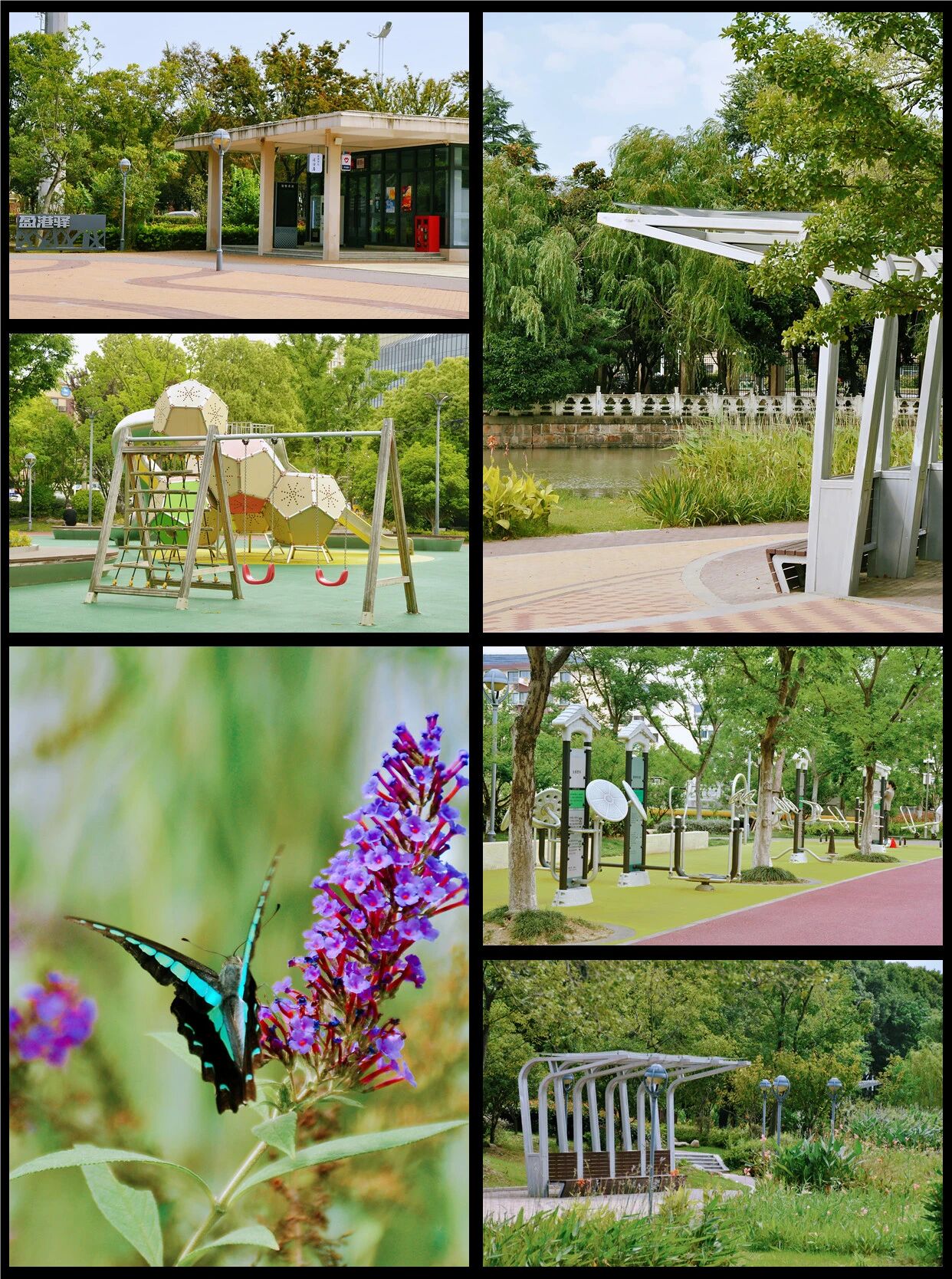 1014_144216_335.jpg 1014_144216_335.jpg