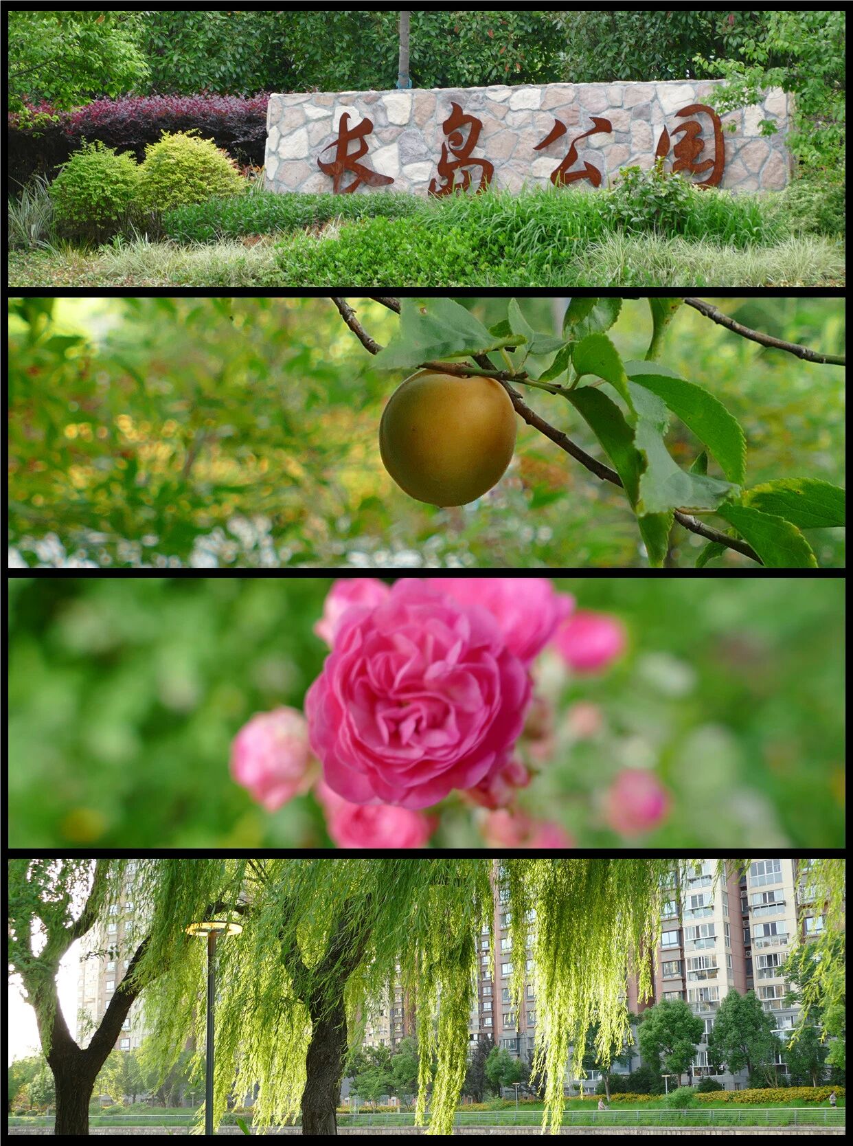 1014_144216_446.jpg 1014_144216_446.jpg