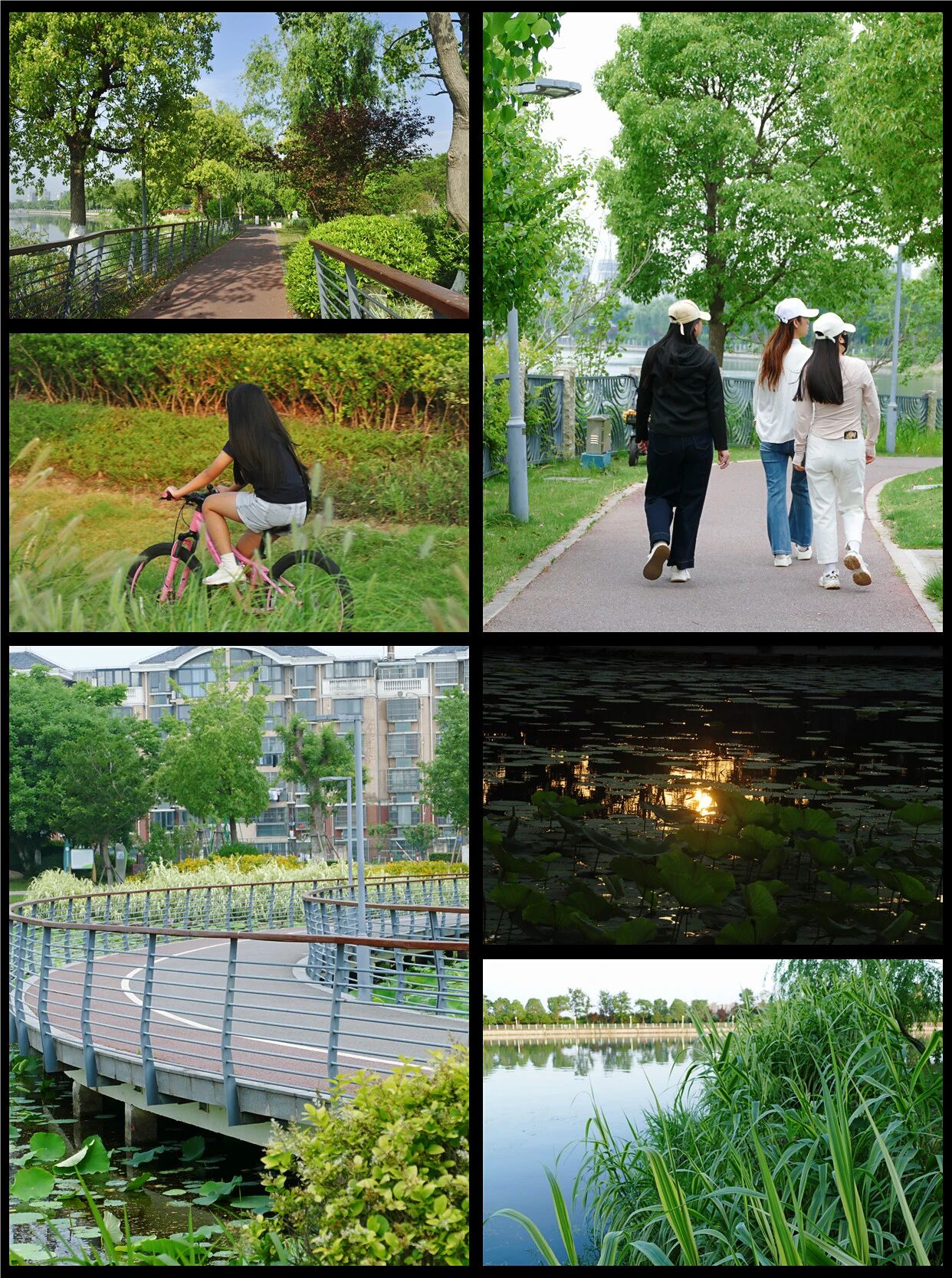 1014_144216_713.jpg 1014_144216_713.jpg