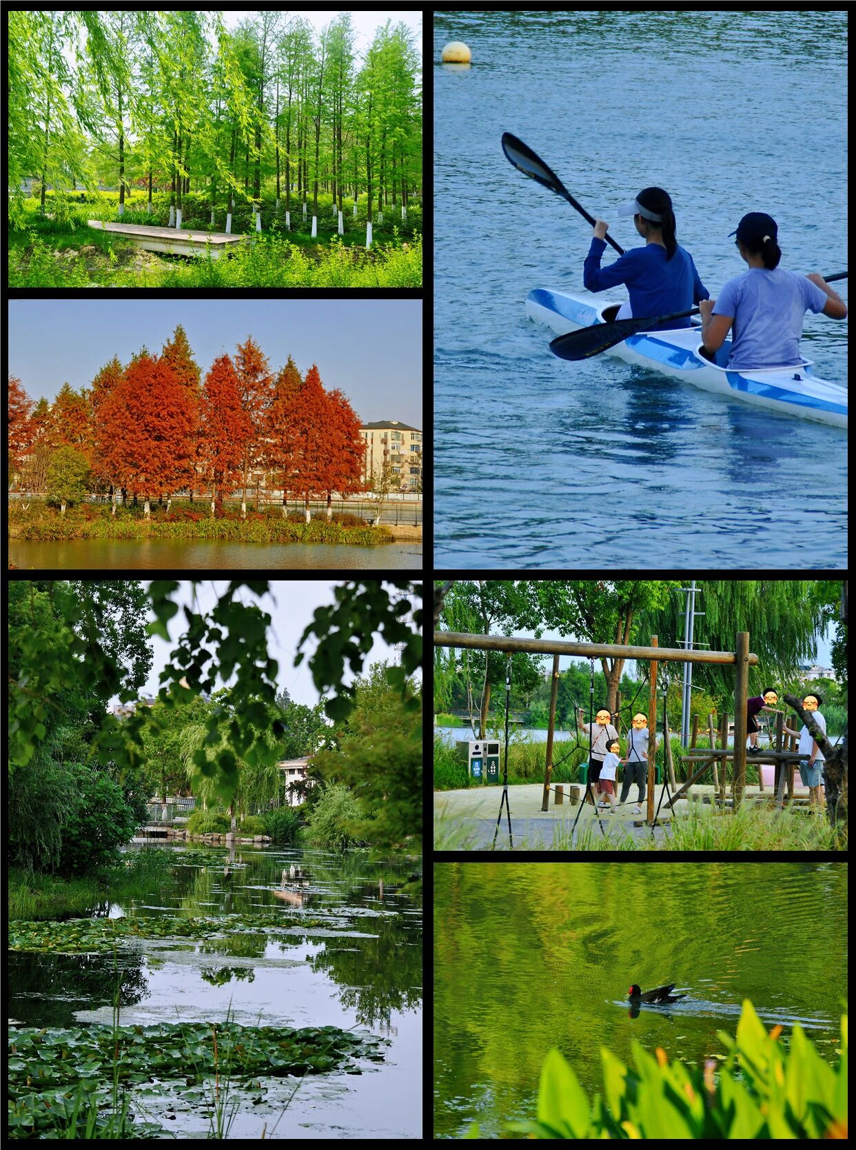 1014_144216_739.jpg 1014_144216_739.jpg