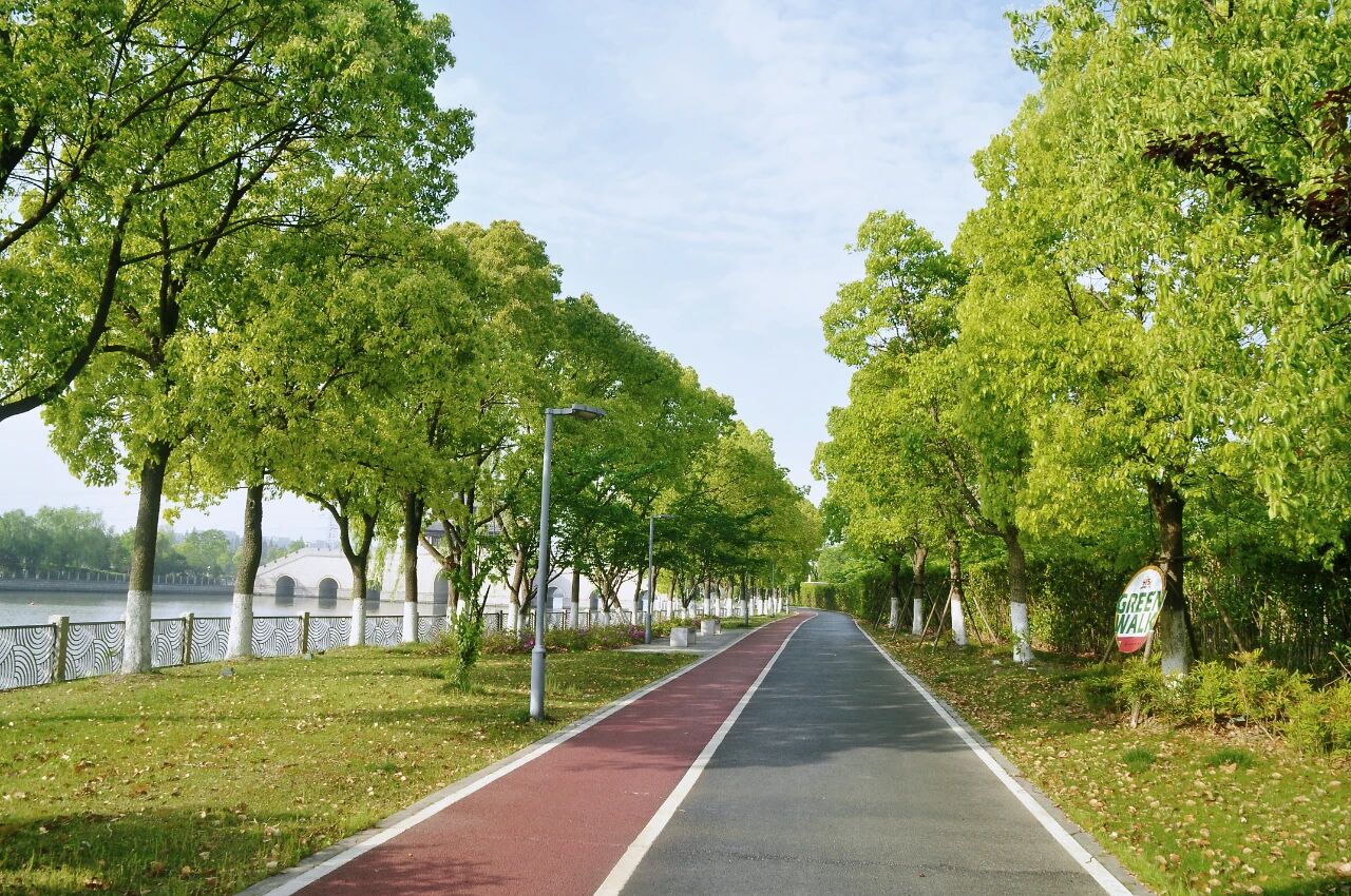 1014_144217_488.jpg 1014_144217_488.jpg