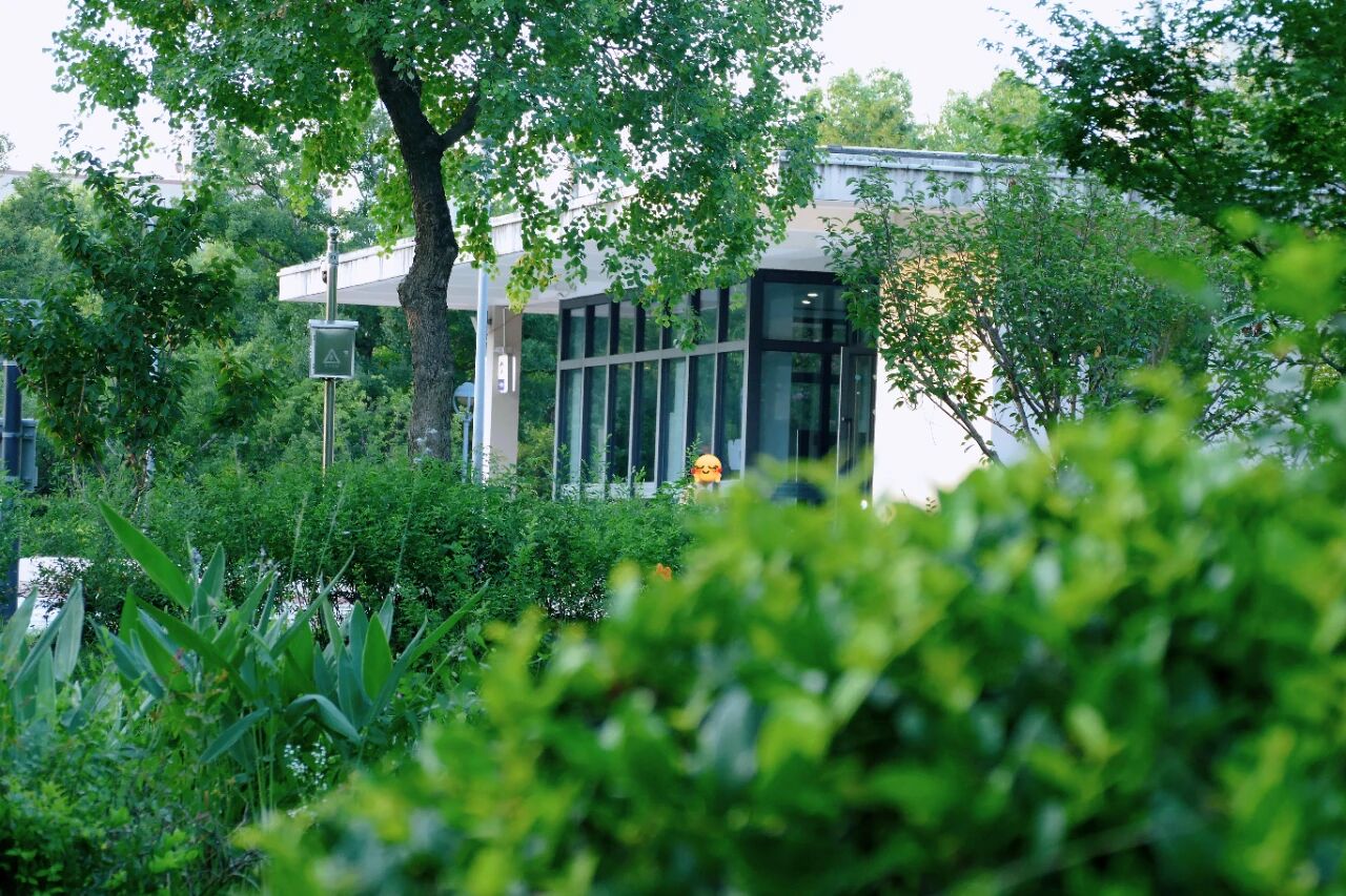 1014_144217_822.jpg 1014_144217_822.jpg