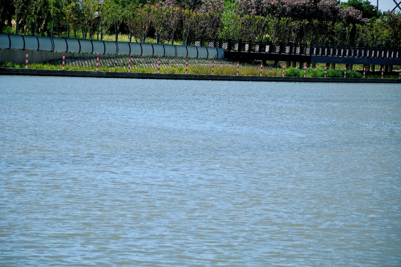 1014_151526_378.jpg 1014_151526_378.jpg