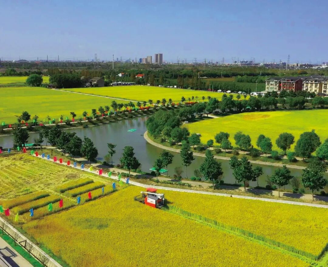 1105_094955_924.jpg 1105_094955_924.jpg