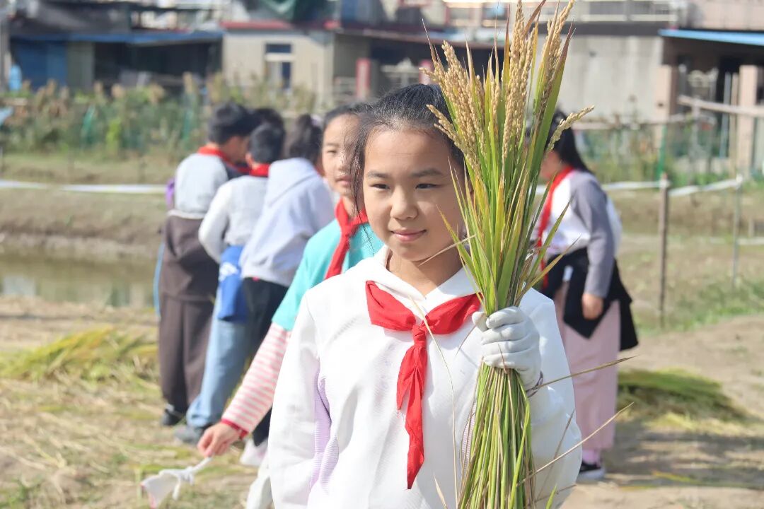 1114_123607_952.jpg 1114_123607_952.jpg