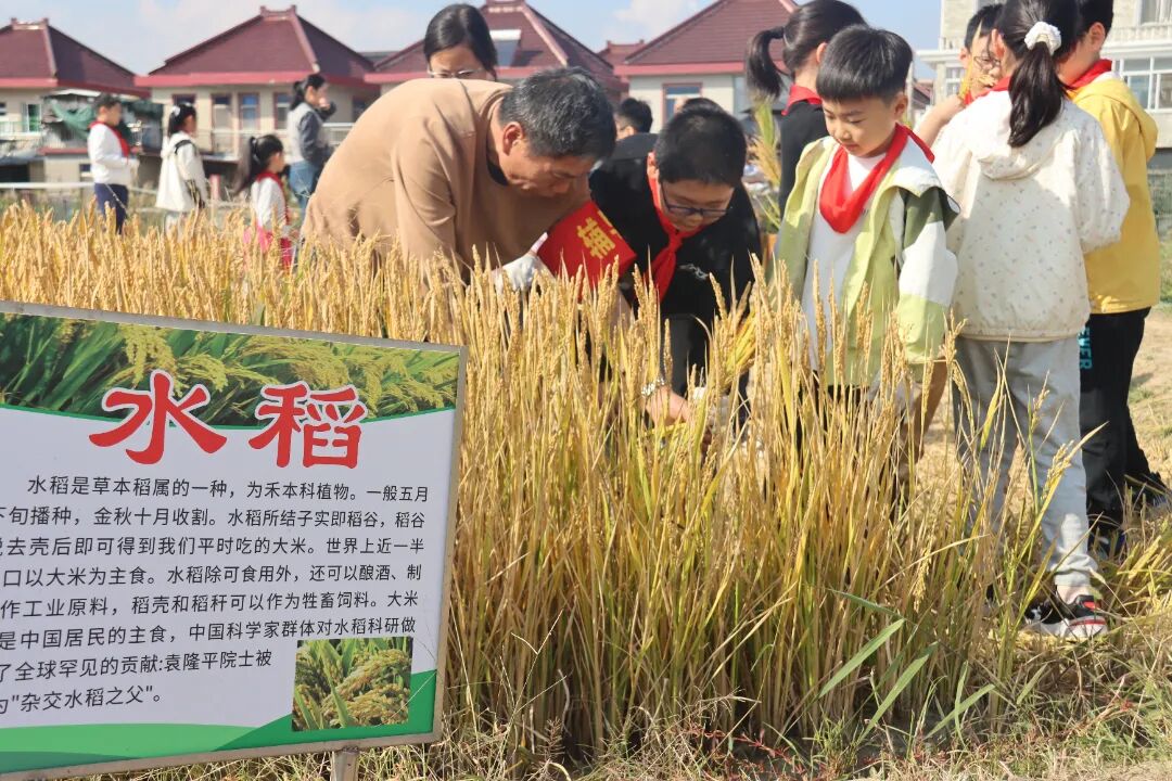 1114_123624_652.jpg 1114_123624_652.jpg