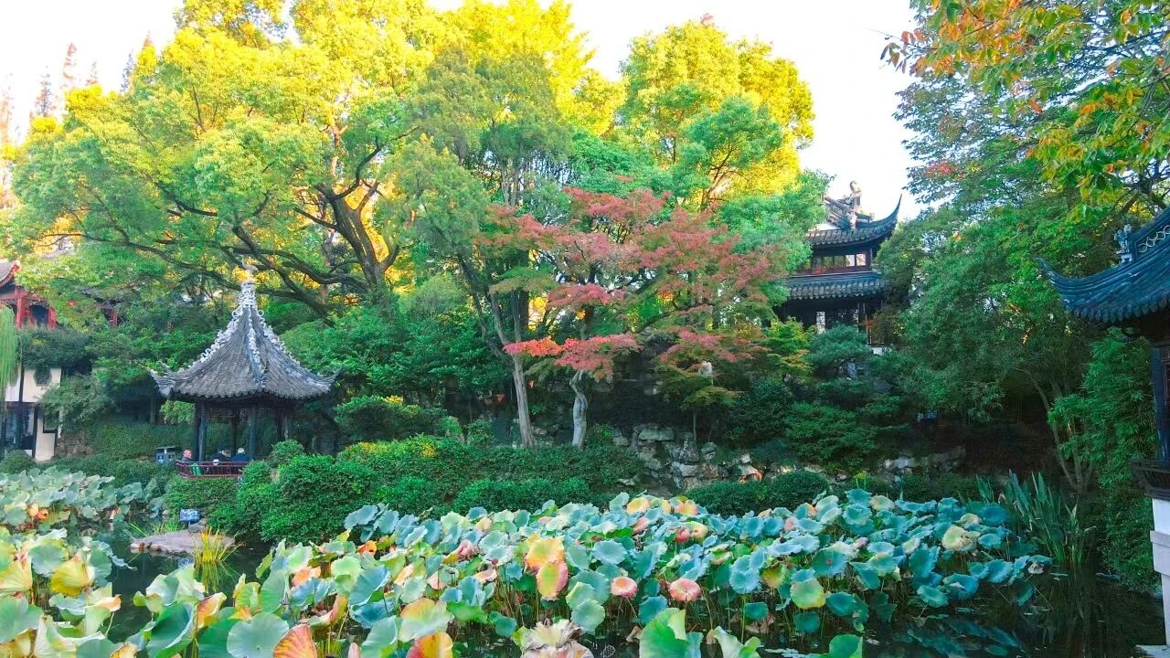 1203_095556_533.jpg 1203_095556_533.jpg