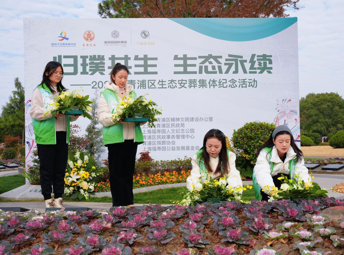 1219_142019_181.png 1219_142019_181.png